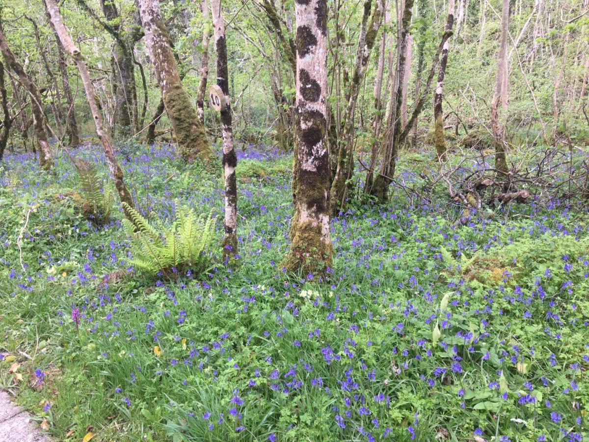 Radharc Na Cuilcagh Bed & Breakfast เอนนิสคิลเลน ภายนอก รูปภาพ
